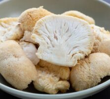 lion's mane mushrooms