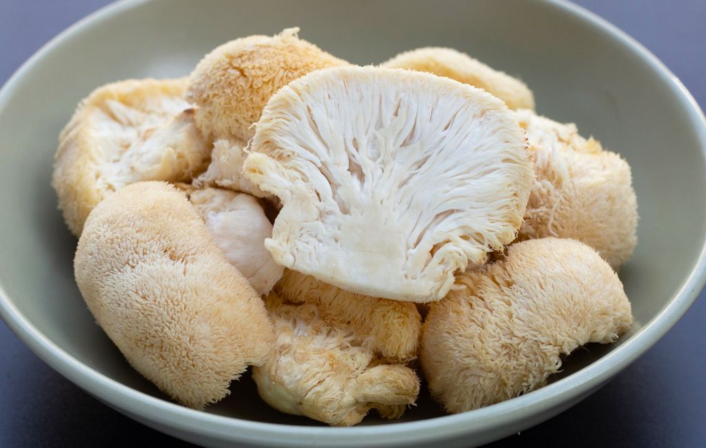 lion's mane mushrooms